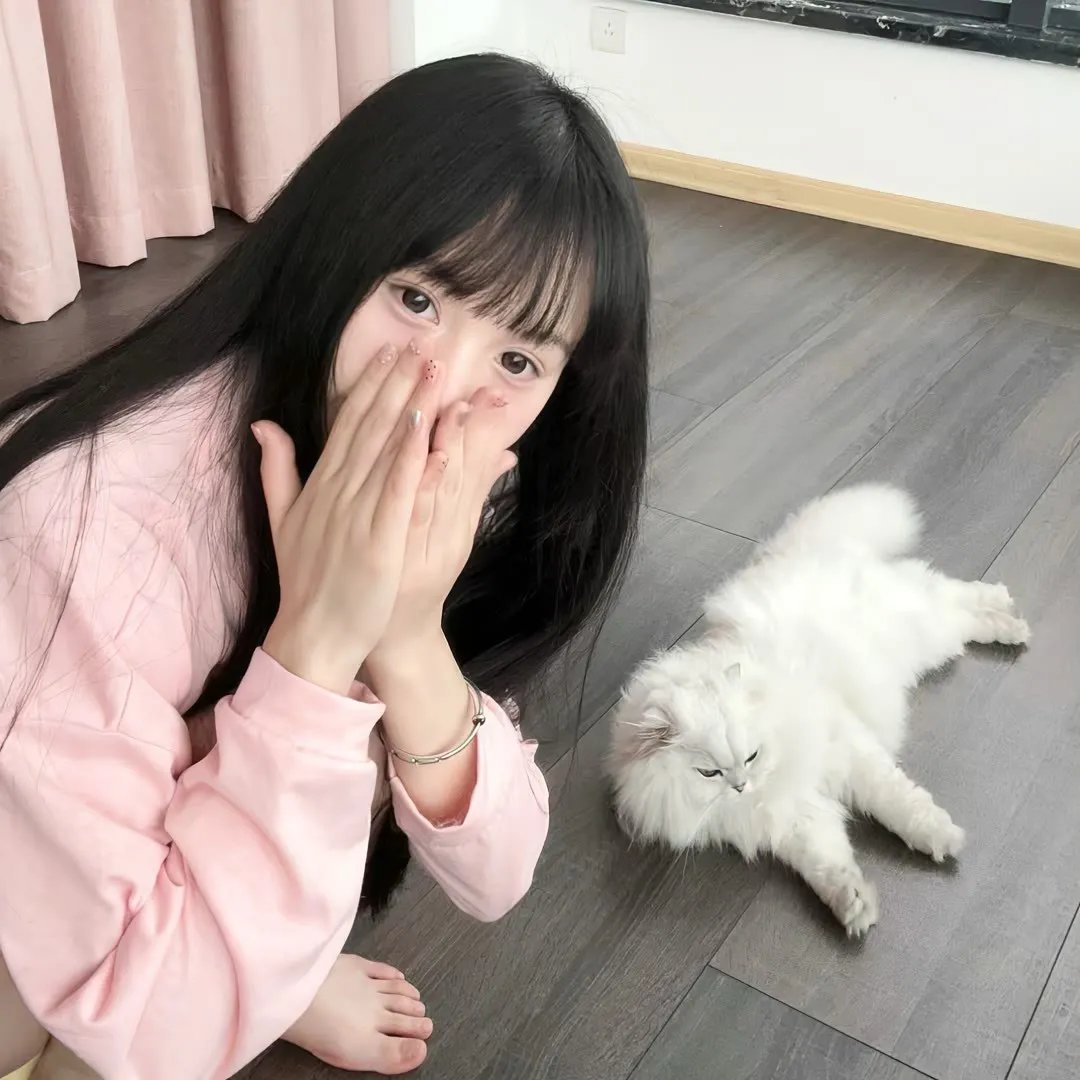 熊猫与你，滚滚而来！